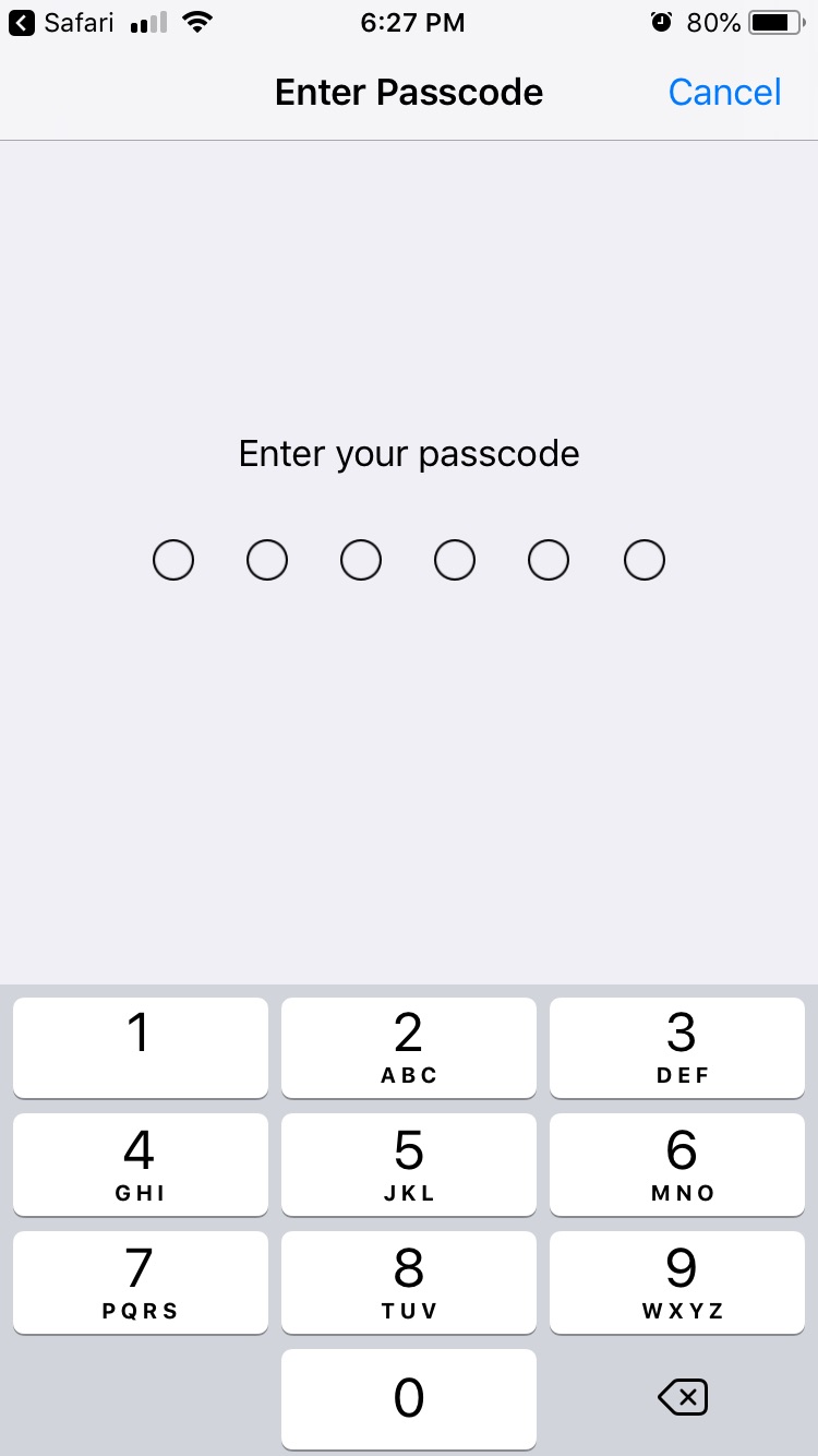 IOS Passcode