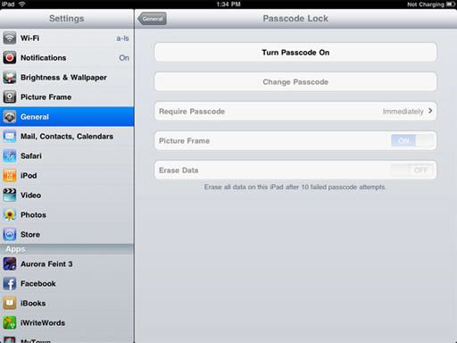 iPad Passcode 